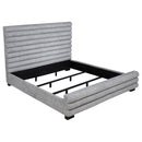 Patricia Beds