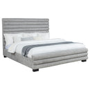 Patricia Beds