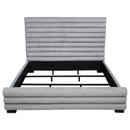 Patricia Beds