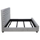 Patricia Beds