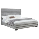 Patricia Beds