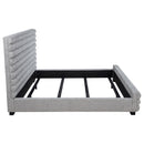 Patricia Beds