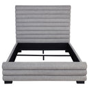 Patricia Beds