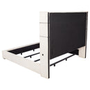 Tisdall Beds