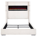 Tisdall Beds