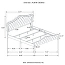Bella Beds