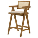 Kane Bar Stool - My Sweet Home Furniture (Queens, NY)