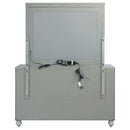 Gunnison Dresser With Mirror - My Sweet Home Furniture (Queens, NY)