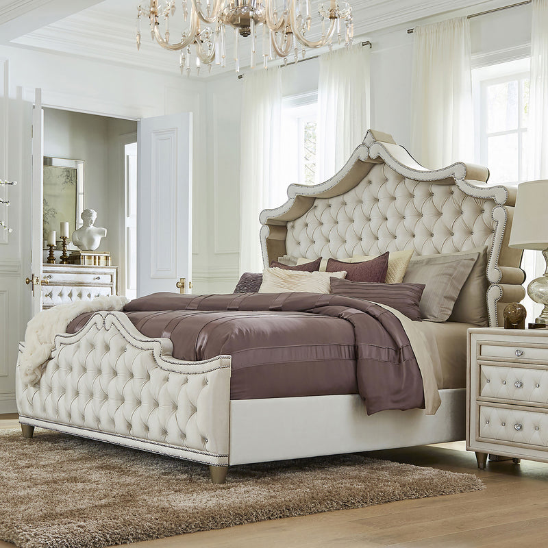Antonella Beds - My Sweet Home Furniture (Queens, NY)