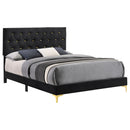 Kendall Panel Bed Black