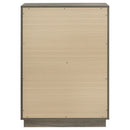 Fenwick Chest - My Sweet Home Furniture (Queens, NY)