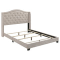 Sonoma Wingback Bed - My Sweet Home Furniture (Queens, NY)