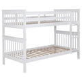 Chapman Bunk Bed - My Sweet Home Furniture (Queens, NY)