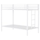 Alevera Bunk Bed