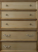 Miranda Transitional Style Chest in Gold finish Wood