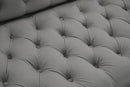 Salma Modern Style Gray Sectional with Acrylic legs