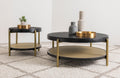 Arini Coffee Table Set - My Sweet Home Furniture (Queens, NY)