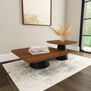 Eason Coffee Table Set - My Sweet Home Furniture (Queens, NY)