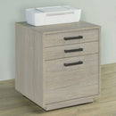 Loomis 3-drawer Square File Cabinet Whitewashed Grey - My Sweet Home Furniture (Queens, NY)