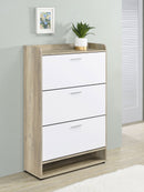 Denia Shoe Cabinet - My Sweet Home Furniture (Queens, NY)
