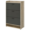 Denia Shoe Cabinet - My Sweet Home Furniture (Queens, NY)