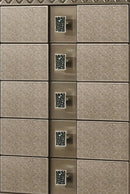 Coral Contemporary Style Chest in Bronze finish Wood