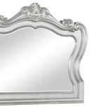 Adriana Transitional Style Mirror in Silver finish Wood
