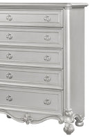 Adriana Transitional Style Chest in Silver finish Wood