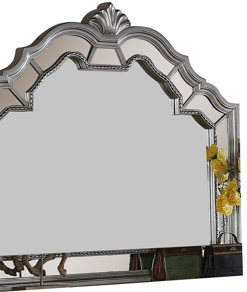 Pamela Transitional Style Mirror in Silver finish Wood