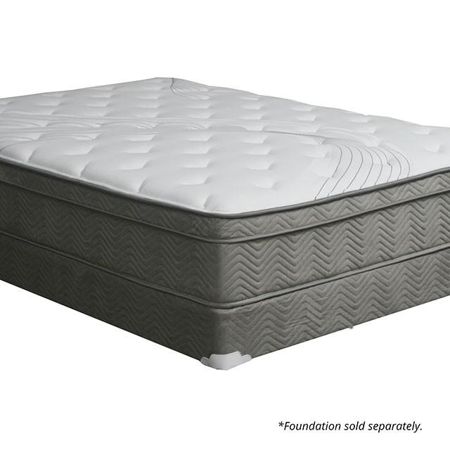 Afton 12 Euro Box Pocket Coil - My Sweet Home Furniture (Queens, NY)