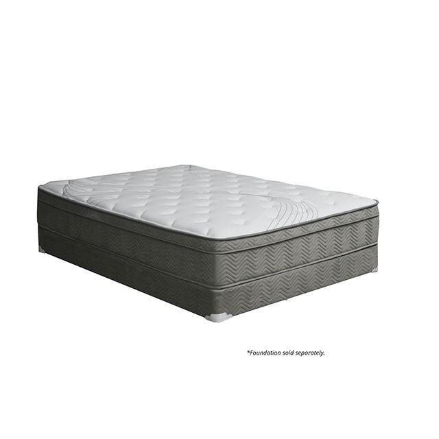 Afton 12 Euro Box Pocket Coil - My Sweet Home Furniture (Queens, NY)