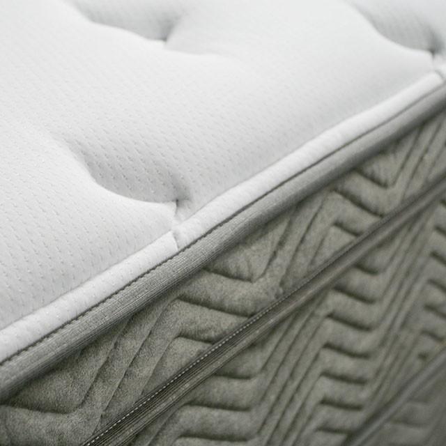 Afton 12 Euro Box Pocket Coil - My Sweet Home Furniture (Queens, NY)