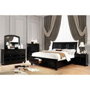 Castor Bed Black, Chrome, & White - My Sweet Home Furniture (Queens, NY)