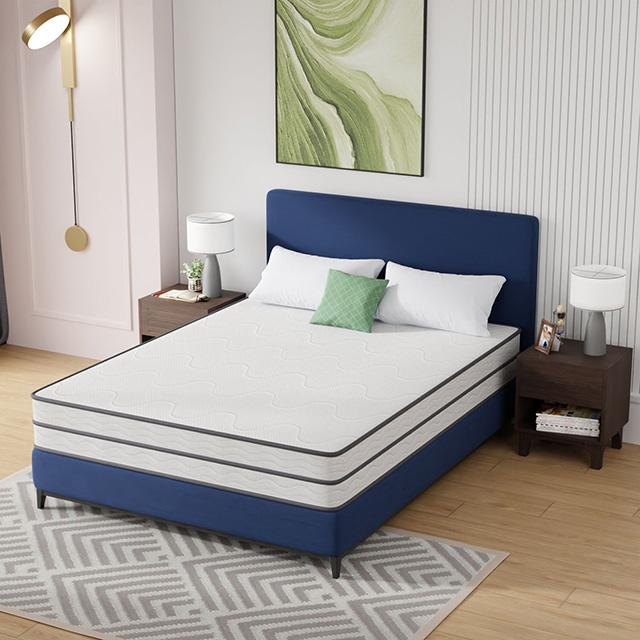 Catmint Mattress - My Sweet Home Furniture (Queens, NY)