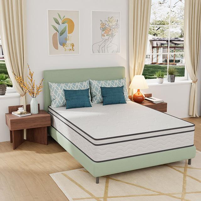 Catmint Mattress - My Sweet Home Furniture (Queens, NY)