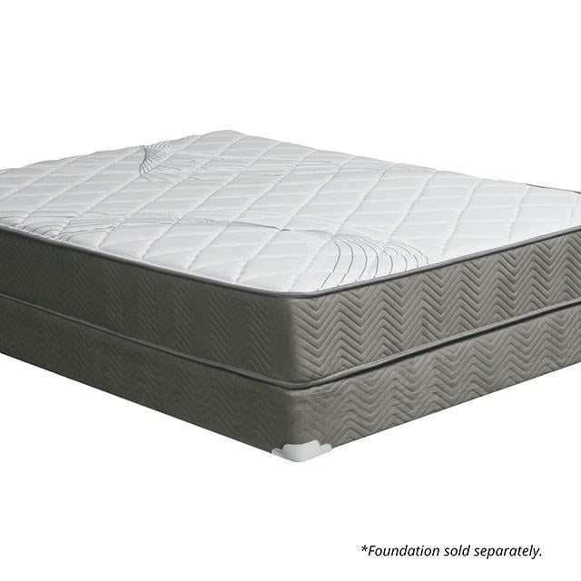 Edrea 10 Tight Top Pocket Coil - My Sweet Home Furniture (Queens, NY)