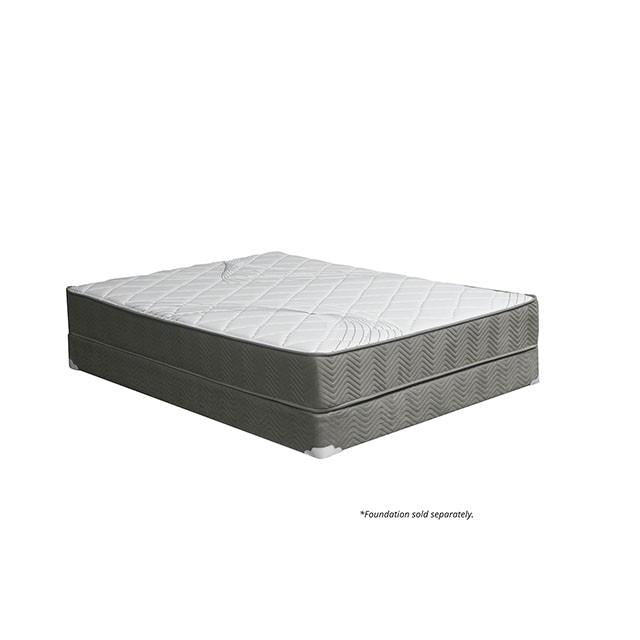 EDREA White/Gray 10" Tight Top Pocket Coil, Cal.King - My Sweet Home Furniture (Queens, NY)