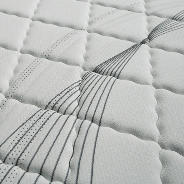 Edrea 10 Tight Top Pocket Coil - My Sweet Home Furniture (Queens, NY)