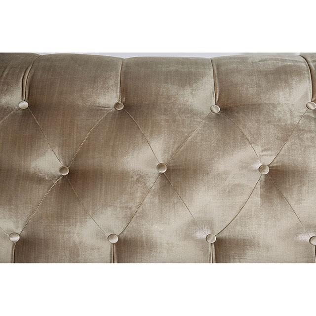 ELICIA Loveseat - My Sweet Home Furniture (Queens, NY)