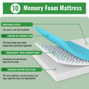 Coreopsis 10" E.King Memory Foam Wave Comfort