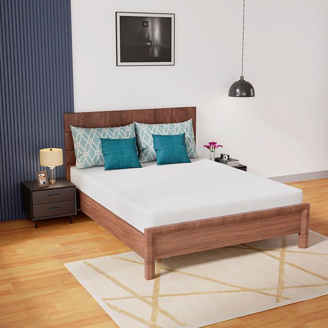 Coreopsis 8" Queen Memory Foam Wave Comfort - My Sweet Home Furniture (Queens, NY)