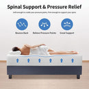 Forsythia 12" Full Green Tea Gel Memory Foat