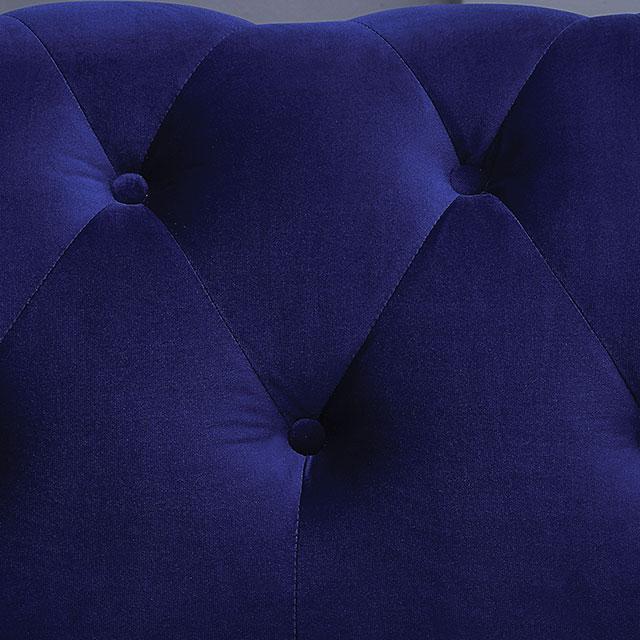GIACOMO Loveseat, Blue - My Sweet Home Furniture (Queens, NY)