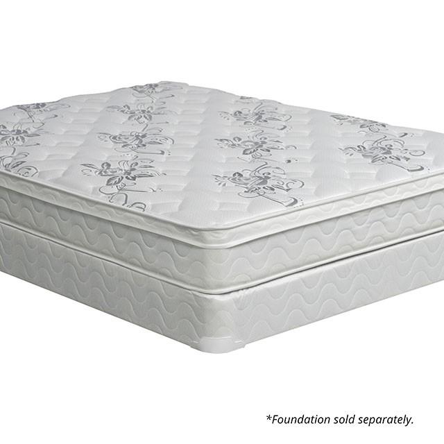 JALEN White 9" Euro Top Mattress, Twin - My Sweet Home Furniture (Queens, NY)