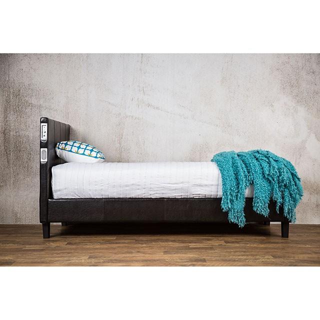 Evans E.King & Cal.King Bed Espressso, White, & Camel - My Sweet Home Furniture (Queens, NY)