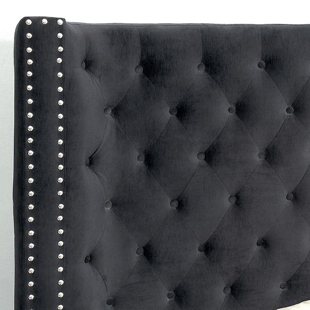 ROSABELLE Queen Bed, Black - My Sweet Home Furniture (Queens, NY)
