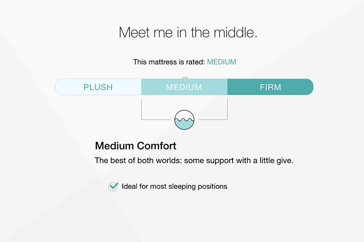 Chime 10 Inch Hybrid Mattress in a Box - My Sweet Home Furniture (Queens, NY)