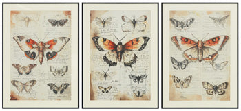 Jossletts Wall Art (Set of 3) - My Sweet Home Furniture (Queens, NY)