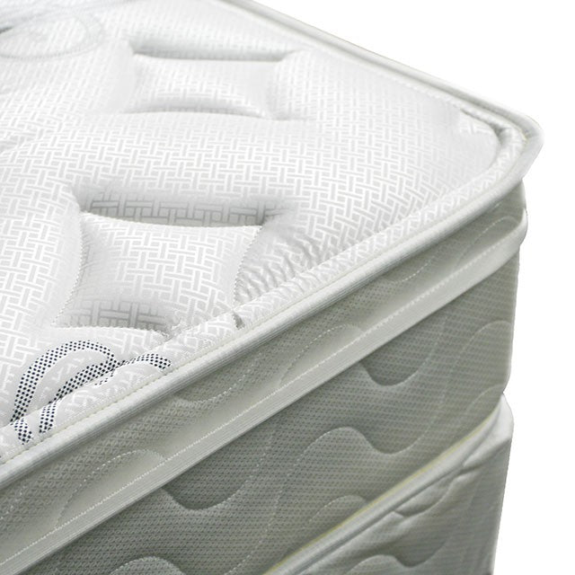 JALEN White 9" Euro Top Mattress, Queen - My Sweet Home Furniture (Queens, NY)