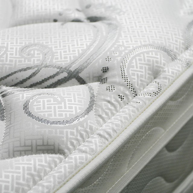JALEN White 9" Euro Top Mattress, Queen - My Sweet Home Furniture (Queens, NY)